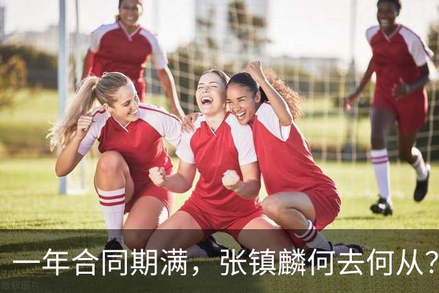 一年合同期满，张镇麟何去何从？两条路可走，看上海诚意如何了